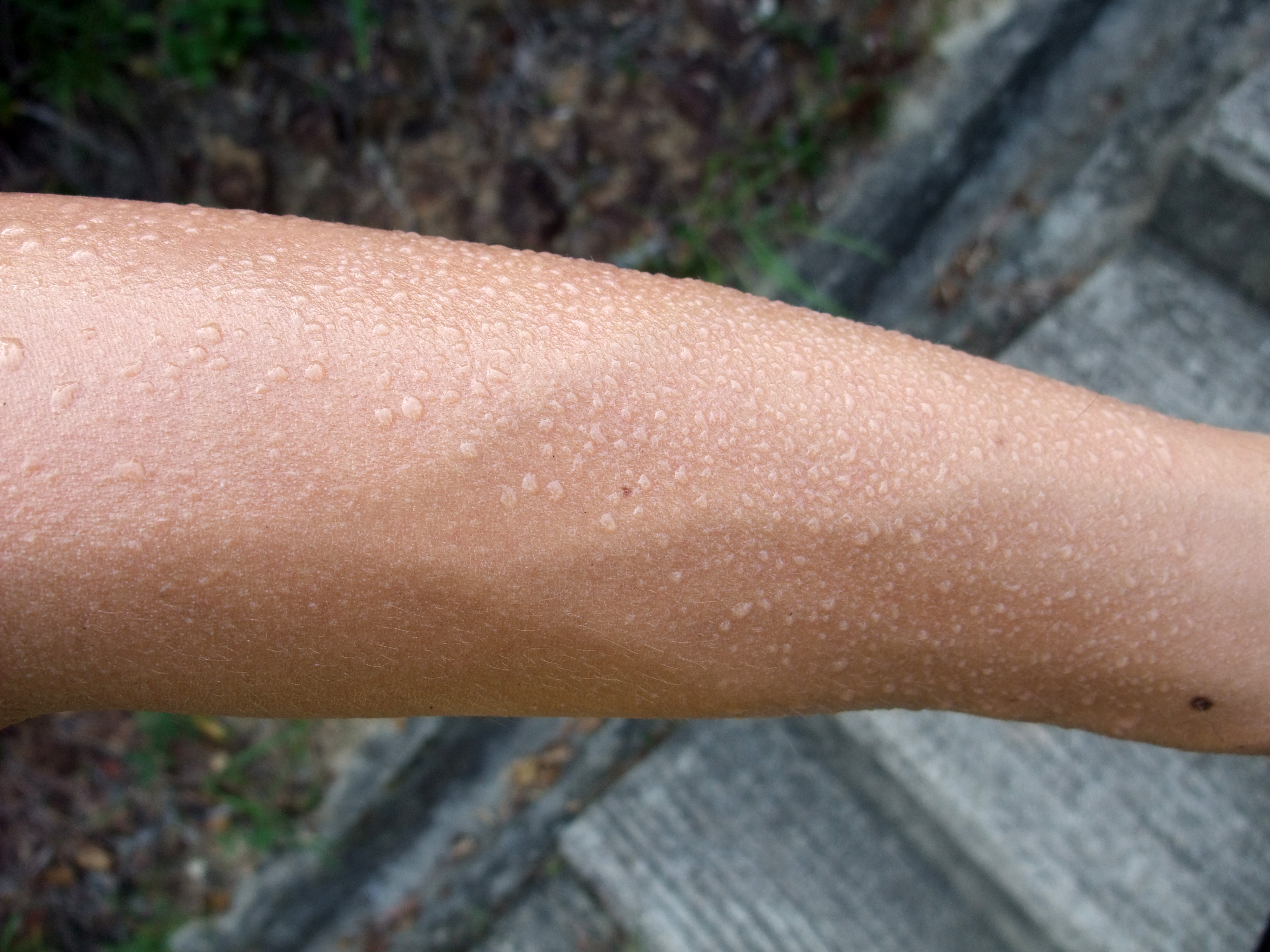 sweat