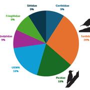 Distribution of bird mortality by Family during the Spring 2023 semester. Most dead birds found were in the family Turdidae (Thrushes).