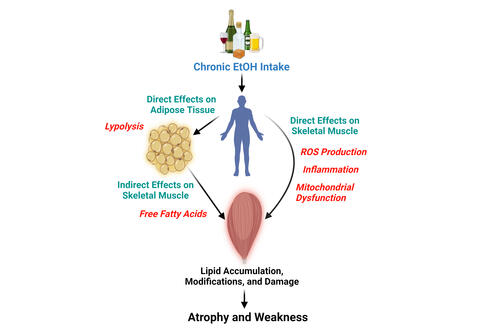 Lipid Figure
