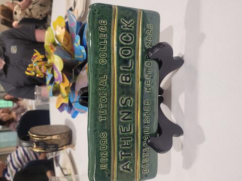 mentor award