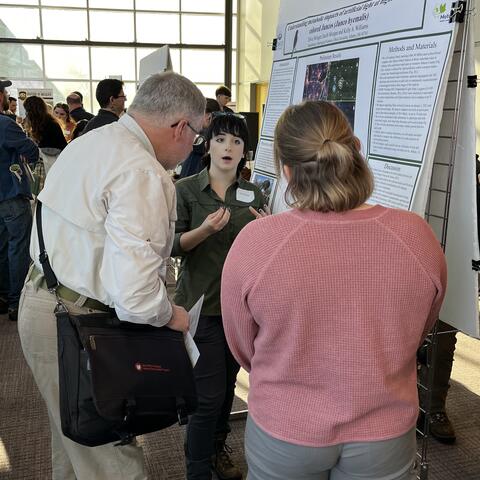 Olive presenting poster