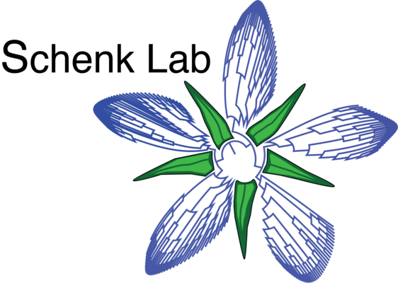 Schenk Lab logo