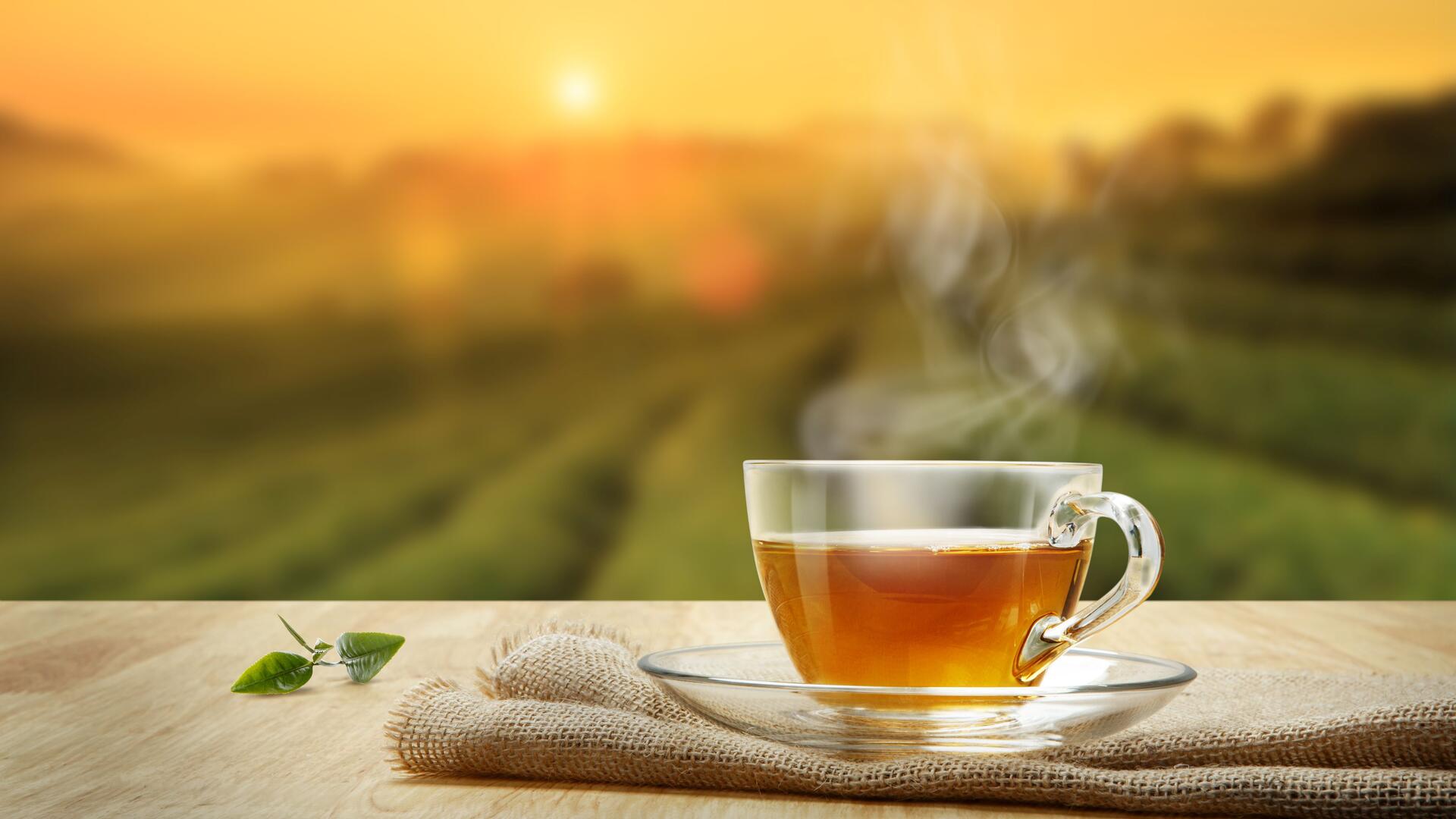cup of black tea on a wooden table with a green background and incoming sunlight